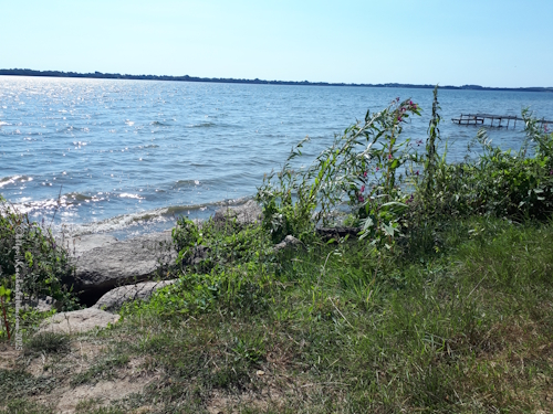 Blick auf den Wittensee