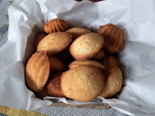 Lea Linsters Madeleines