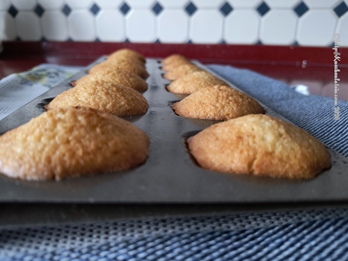 Lea Linsters Madeleines