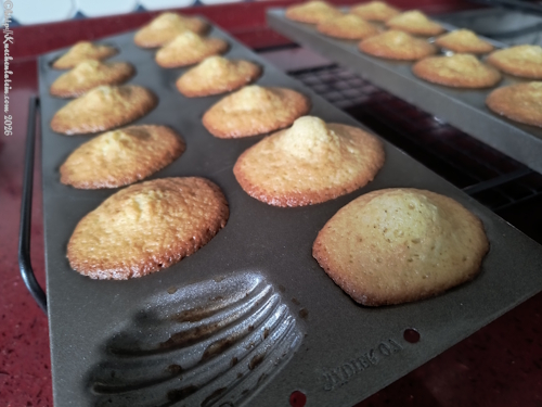 Madeleines - Madeleinekaka
